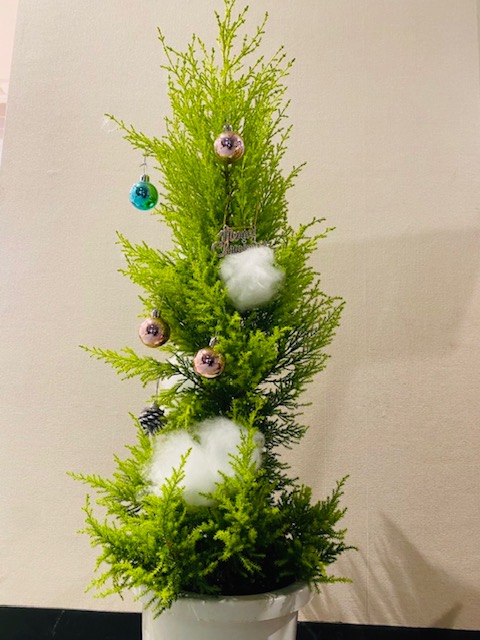 クリスマスツリーを頂きました🎄