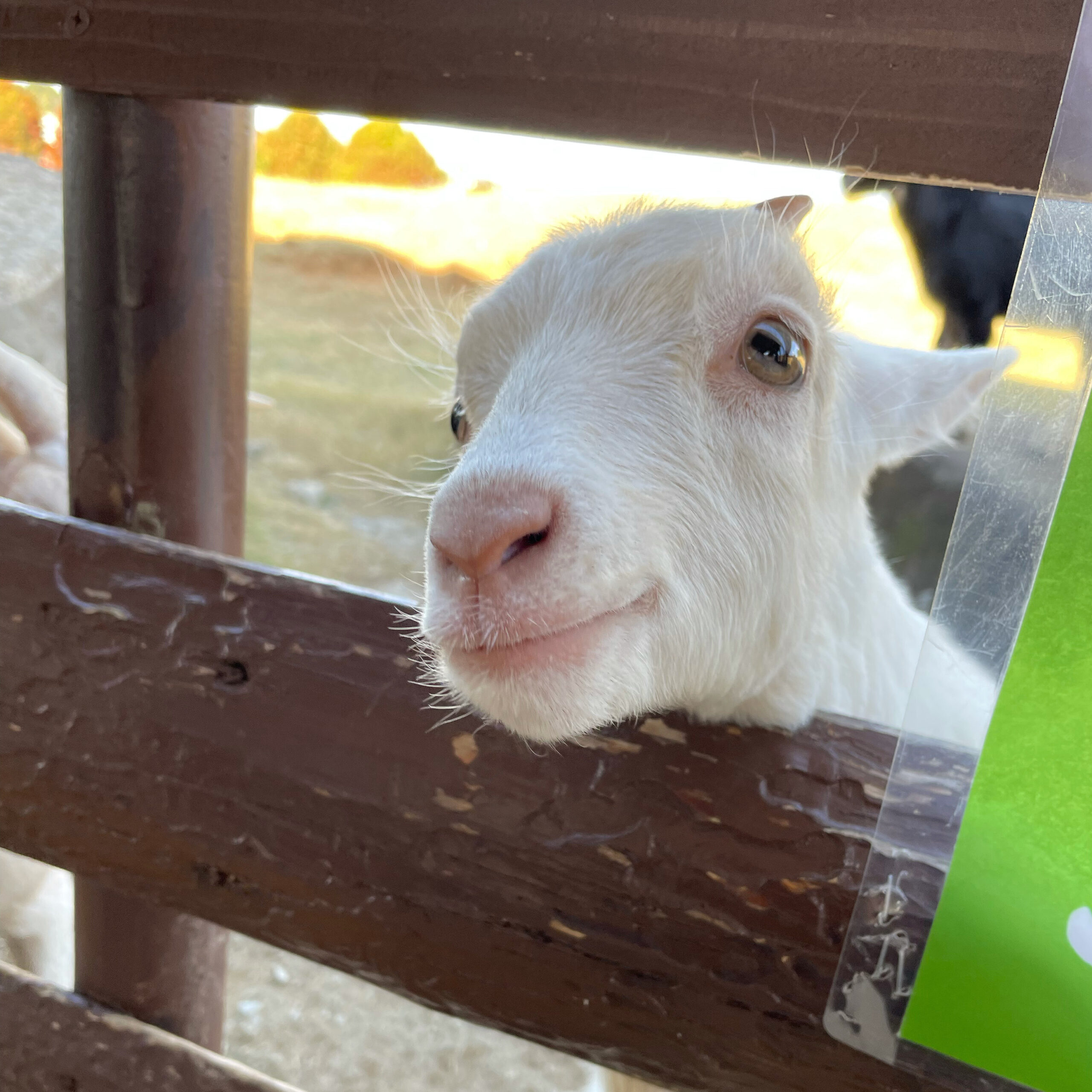 12月の休館日と年末年始休業日について🎄🎍
